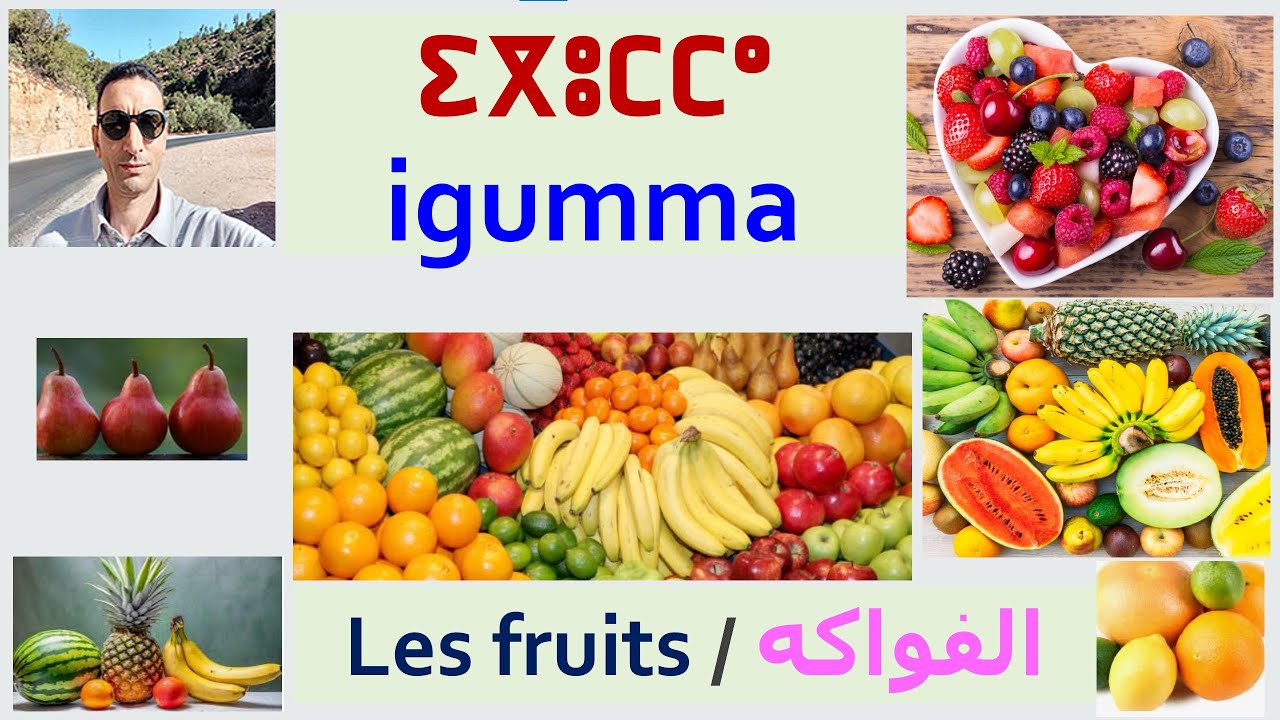 apprendre tamazight : les fruits / lmd tamazight : ⵉⴳⵓⵎⵎⴰ / Igumma / #تعلم #الامازيغية : #الفواكه