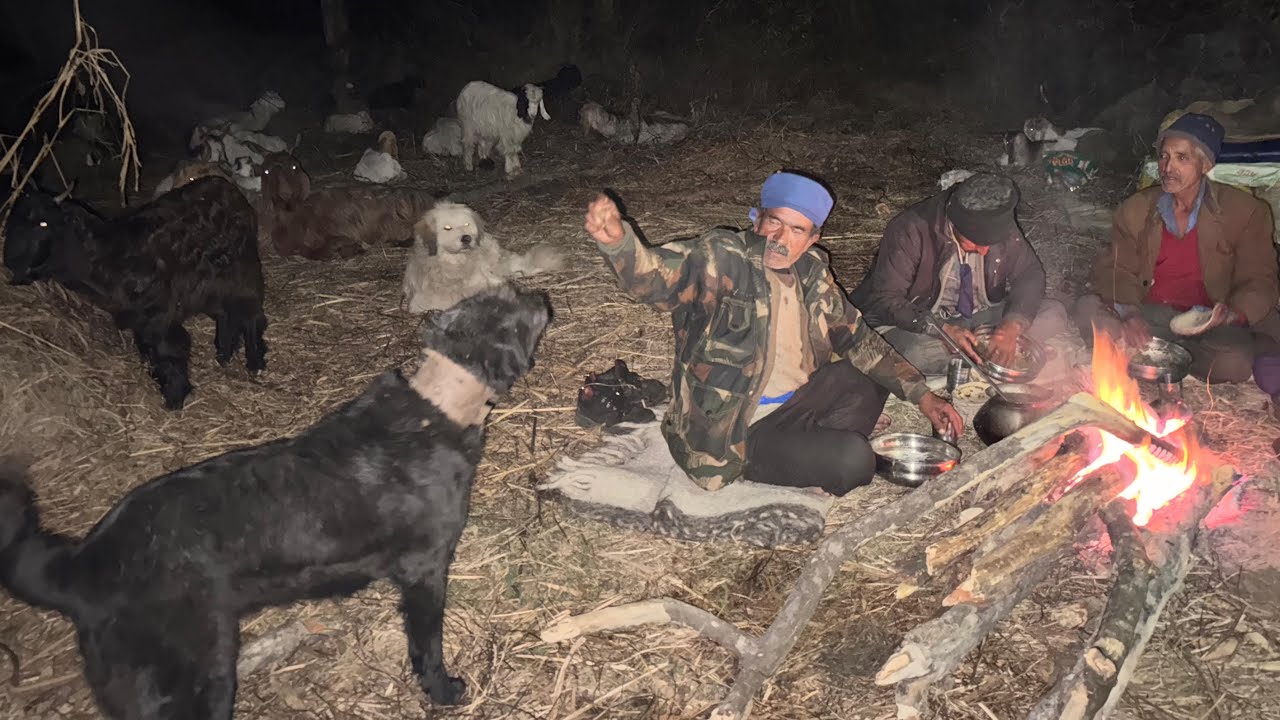 Wild Life: Sheep Farming and Traditional Cooking in Himachal