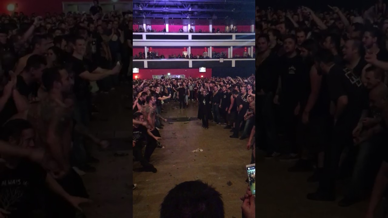 Wall of Death @ Korn/LimpBizkit Cardiff