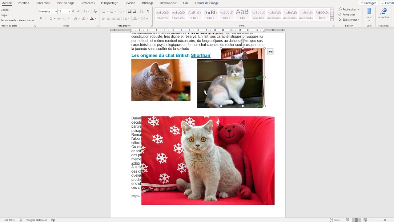 Word  - insertion images, grouper et superposer des images (partie 4)