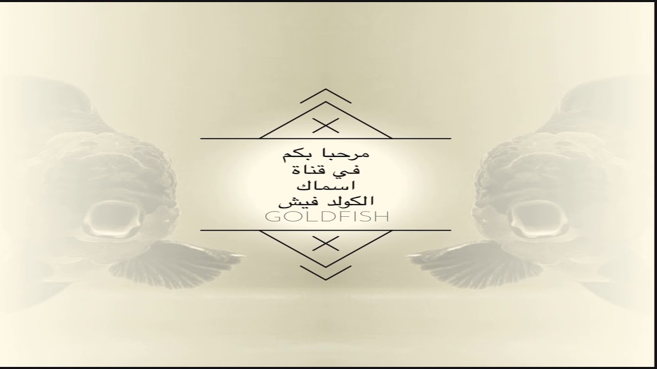 نصائح مهمة جدا قبل شراء اي سمكة اسمعها .