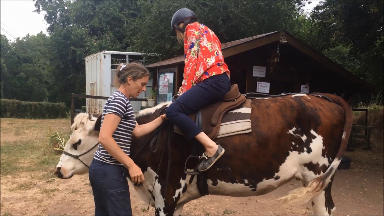 Annie accompagne les enfants en balade... à dos de vache !