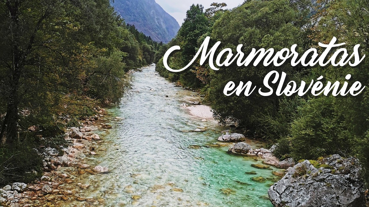 Nos premières TRUITES MARMORATAS  en SLOVÉNIE ! - (Flyfishing Slovenia for marble trout, Soca river)