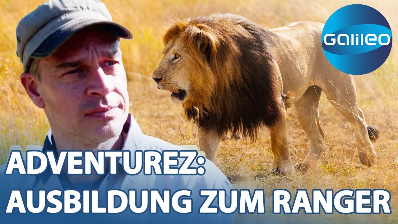 Harro beweist Löwen-Mut! Die Ausbildung zum Ranger | Galileo | ProSieben