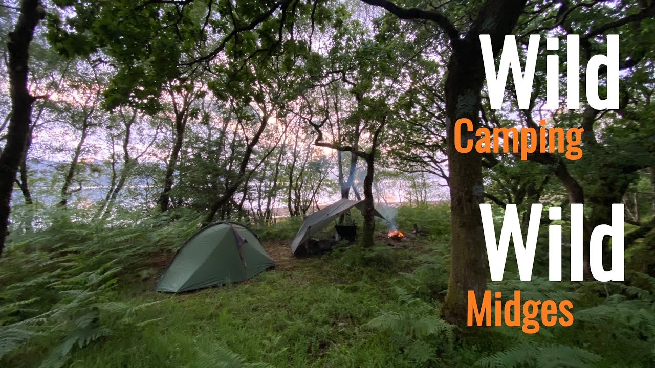 Tent n Tarp Wild Camping, Wild Midges, Scotland #wildcamping #scotland