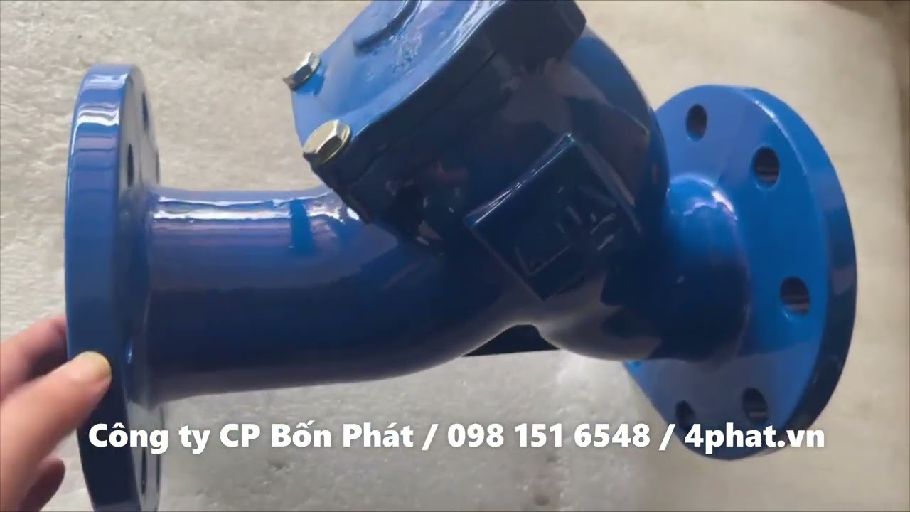 Y lọc   Lọc y gang xanh DN80 AUTA Malaysia PN16