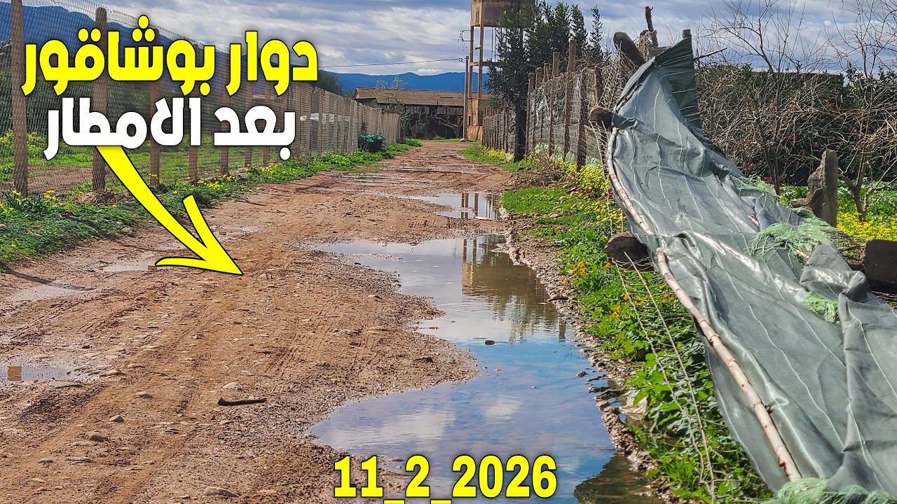 عودة الحياة لإقليم بركان بعد الأمطار الأخيرة هنا قرية بوشاقور الساحرة إستكشاف رائحة البادية11_2_2026
