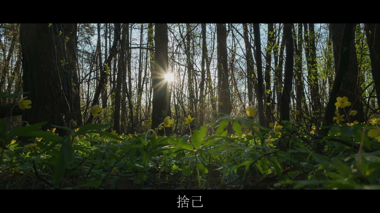 50 楊錫鏘牧師《召命--以生命回應神的召喚》
