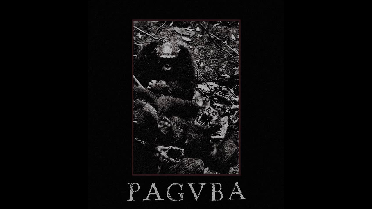 Paguba - 319 [2019 Powerviolence]