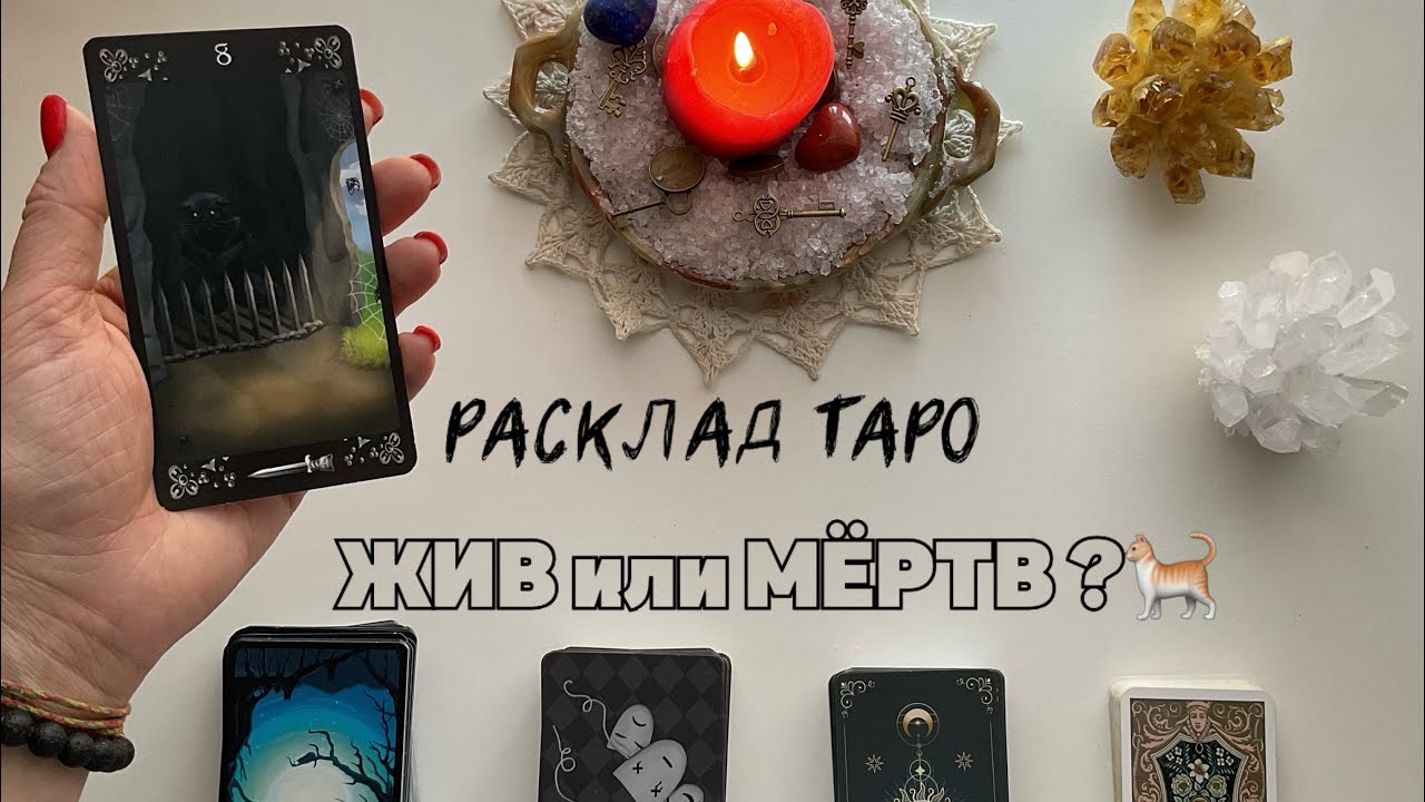 РАСКЛАД ТАРО. У меня пропал любимый кот 🐈 — хочу знать ЧТО С НИМ СЛУЧИЛОСЬ?!