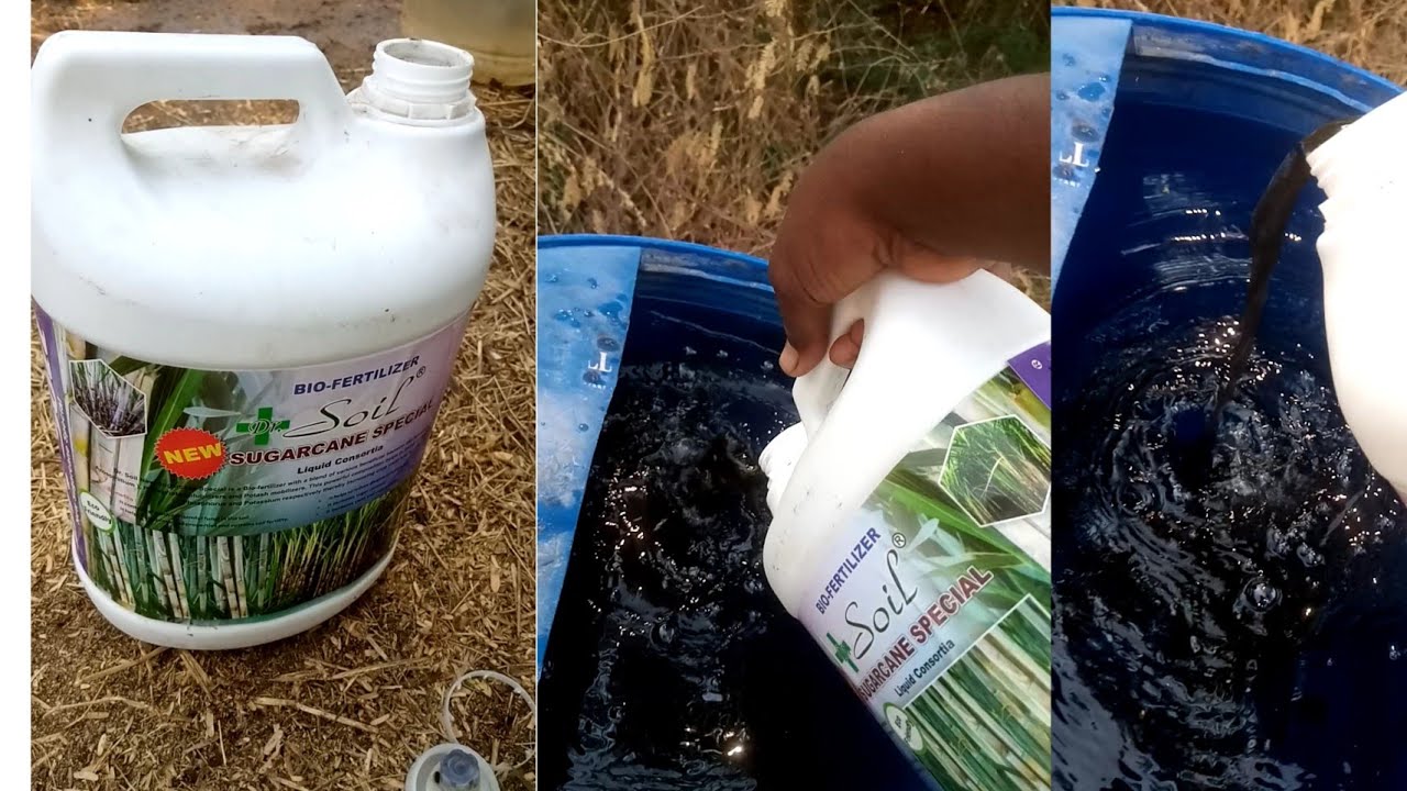 Dr soil sugarcane special used