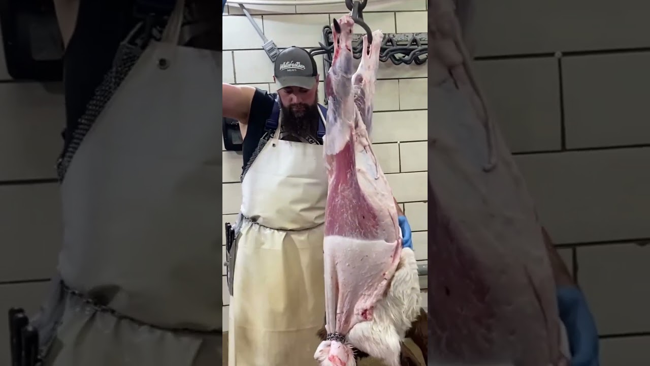 From the archives&hellip;guess the animal?? 🔪🥩 #shorts #shortsviral #shortvideo #fyp #trending #butcher