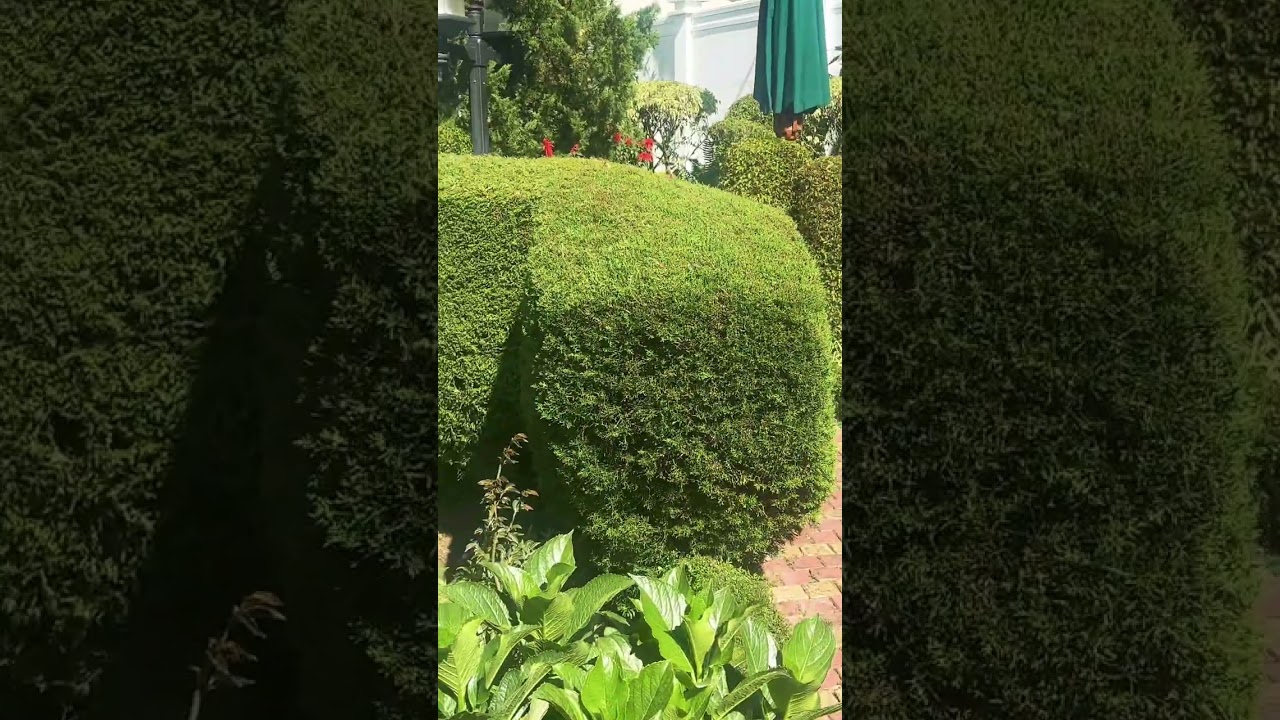 Araliya Green Hills Hotel | Nuwara Eliya