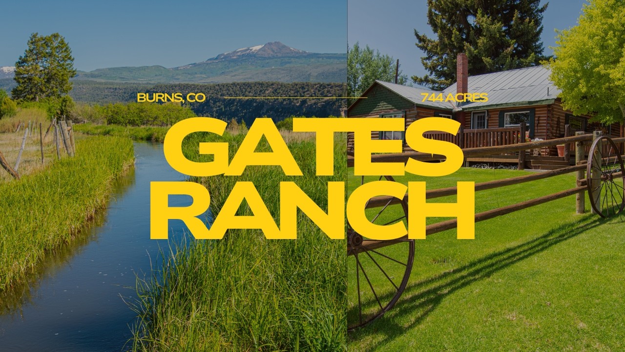 744± Acre Colorado Hunting & Cattle Ranch for Sale | Legacy Mountain Property with Water Rights