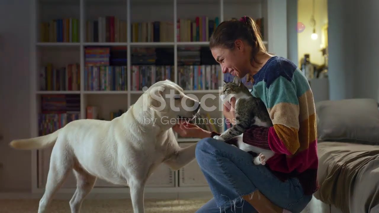 What do scientists say?  A look at real emotions in the animal world!