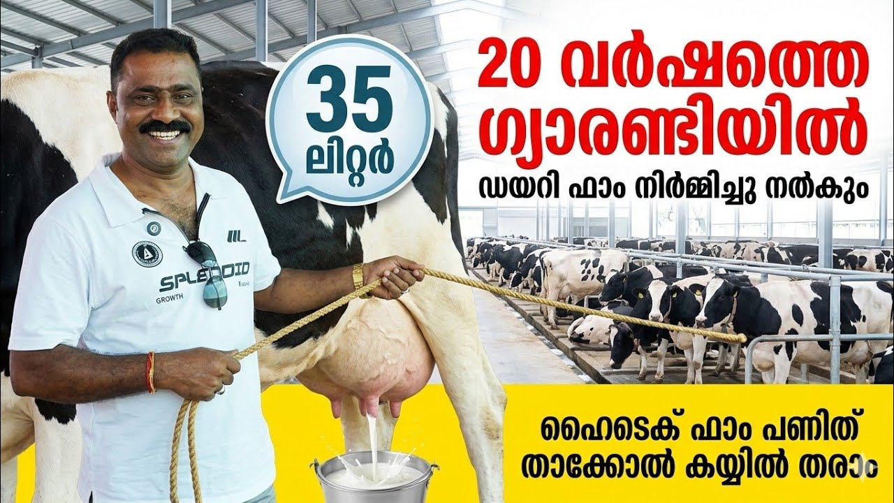 കുറഞ്ഞ ചിലവിൽ 20 വർഷത്തെ ഗ്യാരണ്ടിയിൽ ഡയറി ഫാം പണിഞ്ഞു തരാം Dairy farming malayalam 