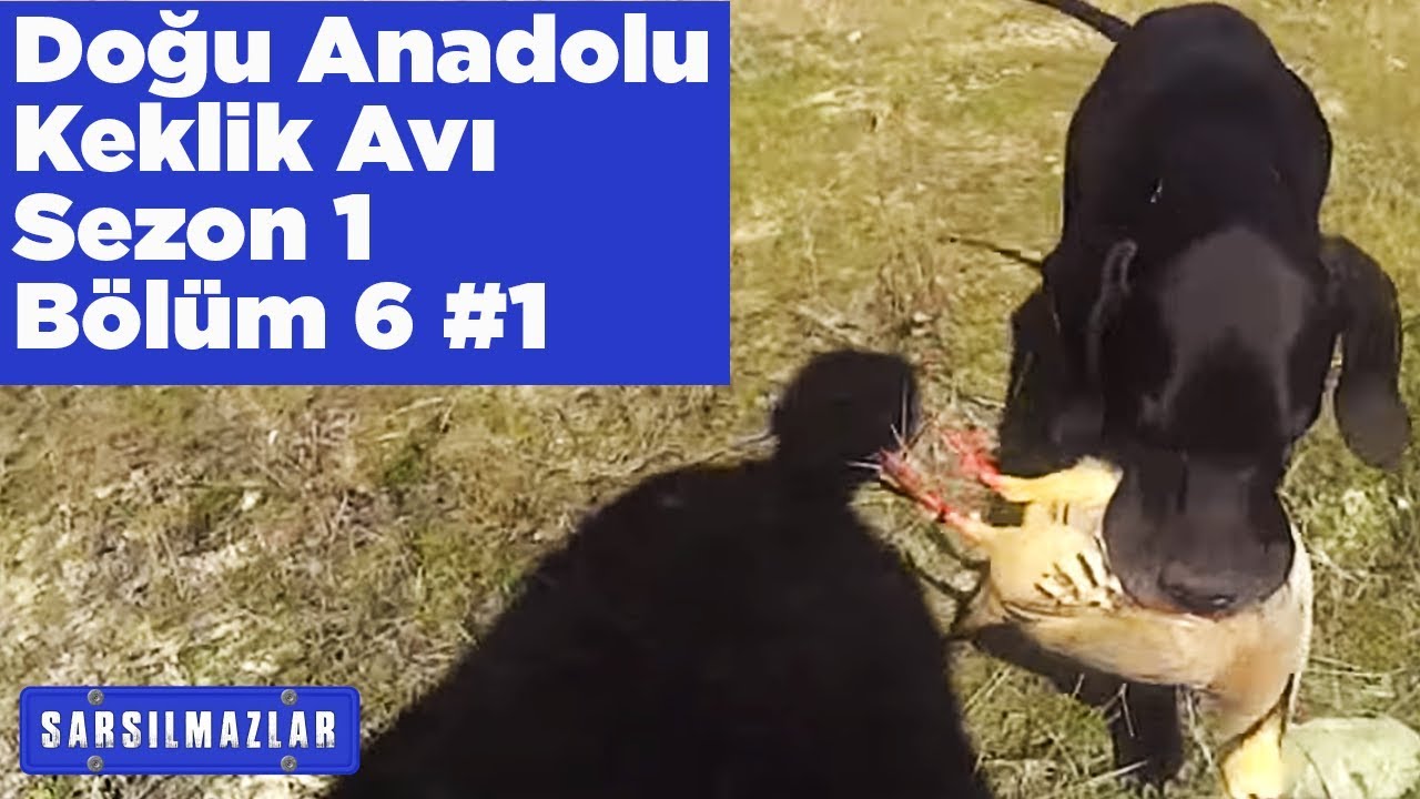 Doğu Anadolu Keklik Avı Sarsılmazlar 1.Sezon 6.Bölüm 1 Yaban Tv Partridge Hunting