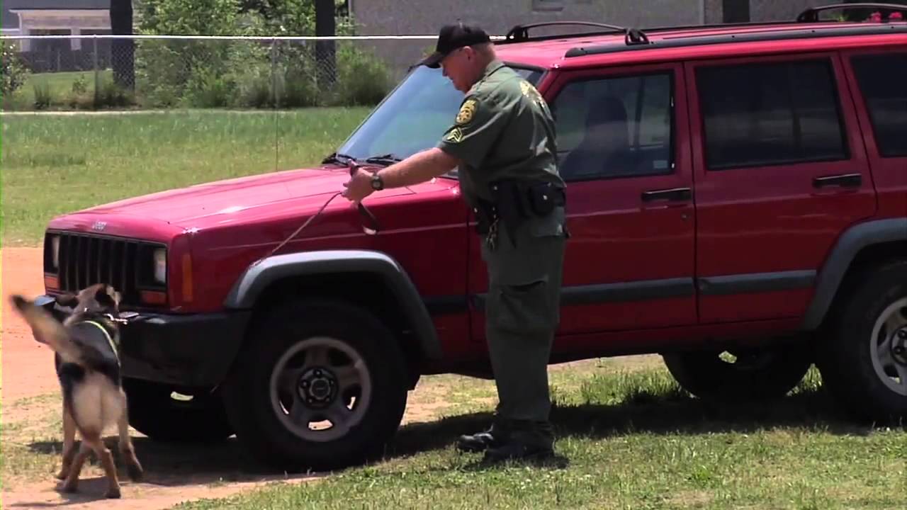 K 9 Demonstration HD