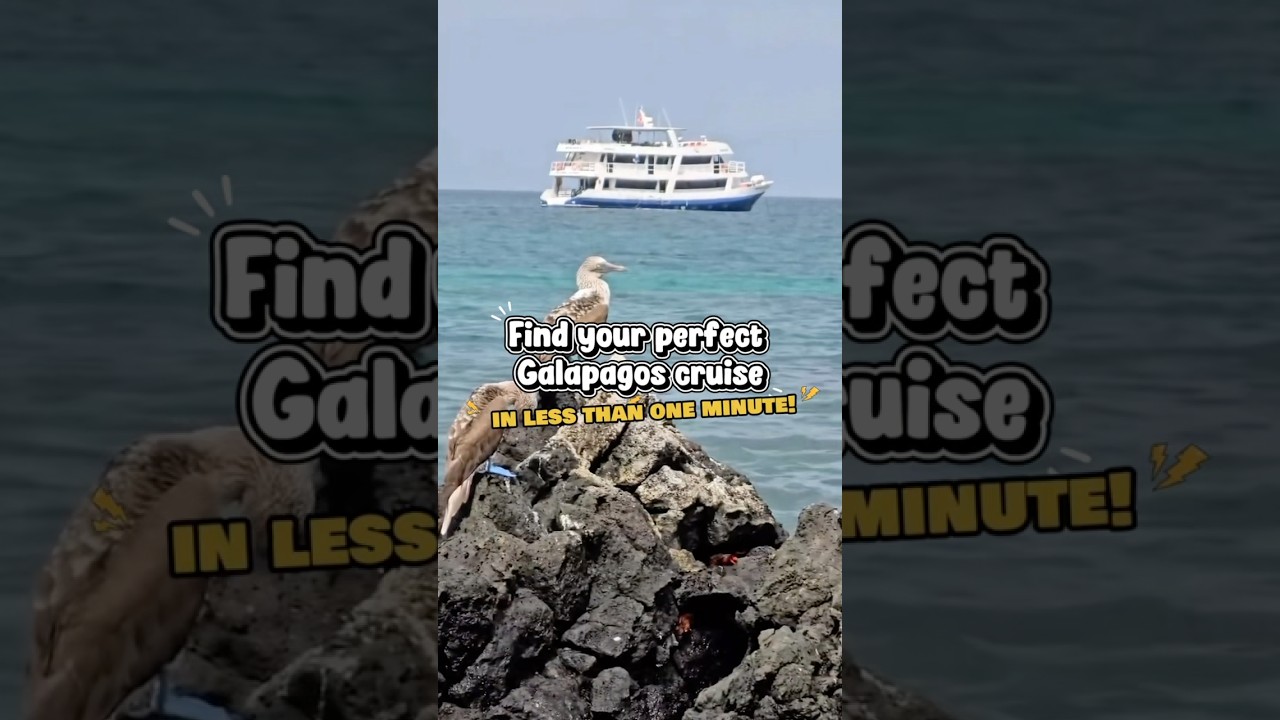 📌 How to find Last-minute Galapagos cruise deals! #galapagosislands #galapagos #galapagostours
