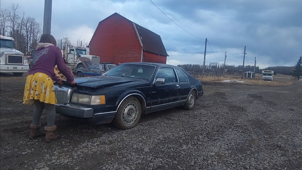 I bought one of the rarest foxbodies ever. A lincoln Mark VII LSC Turbo Diesel.