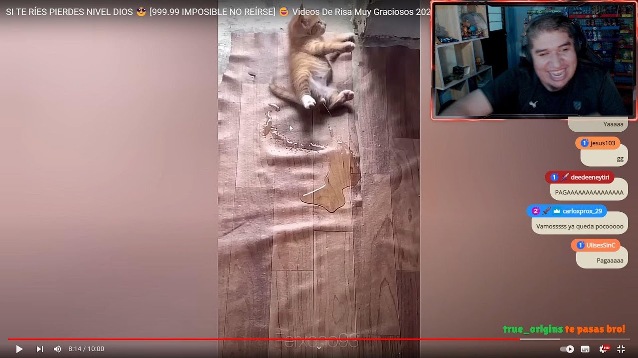 SI ME RIO PIERDO REACCIONANDO A VIDEOS CHISTOSOS