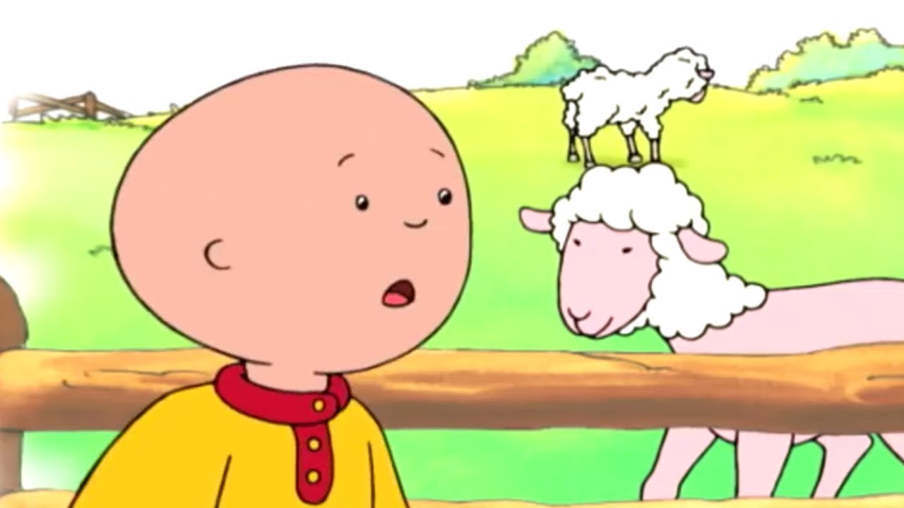 Caillou and the Sheep | Caillou Cartoon