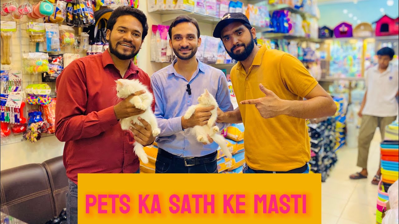 1st pets Hut shop in Multan 🥰| Pets products available at wholesale price