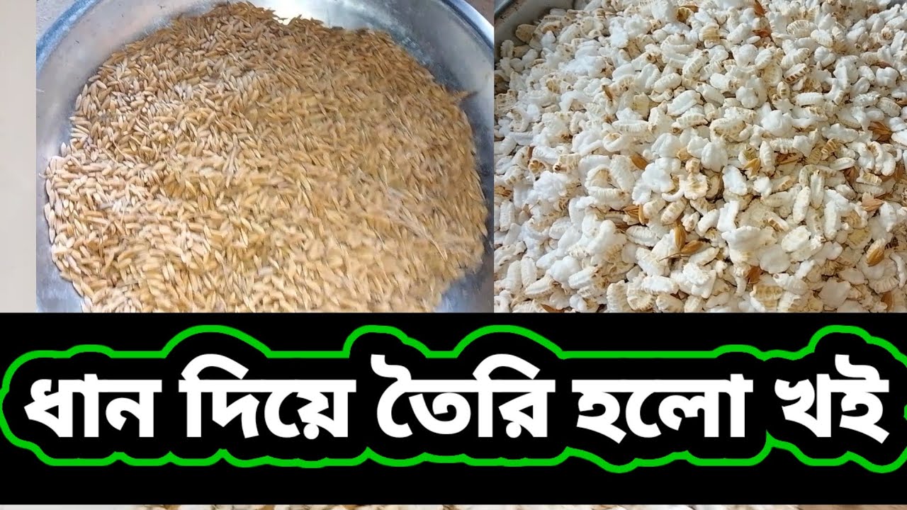 ধান দিয়ে তৈরি হলো খই / Talha today vlogs 
