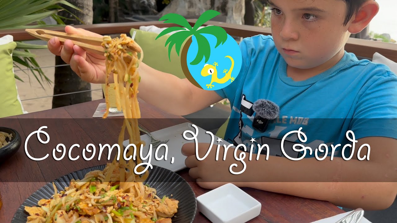 Cocomaya Restaurant, Virgin Gorda, BVI! Gecko Eats VG #virgingorda #trendy #eats