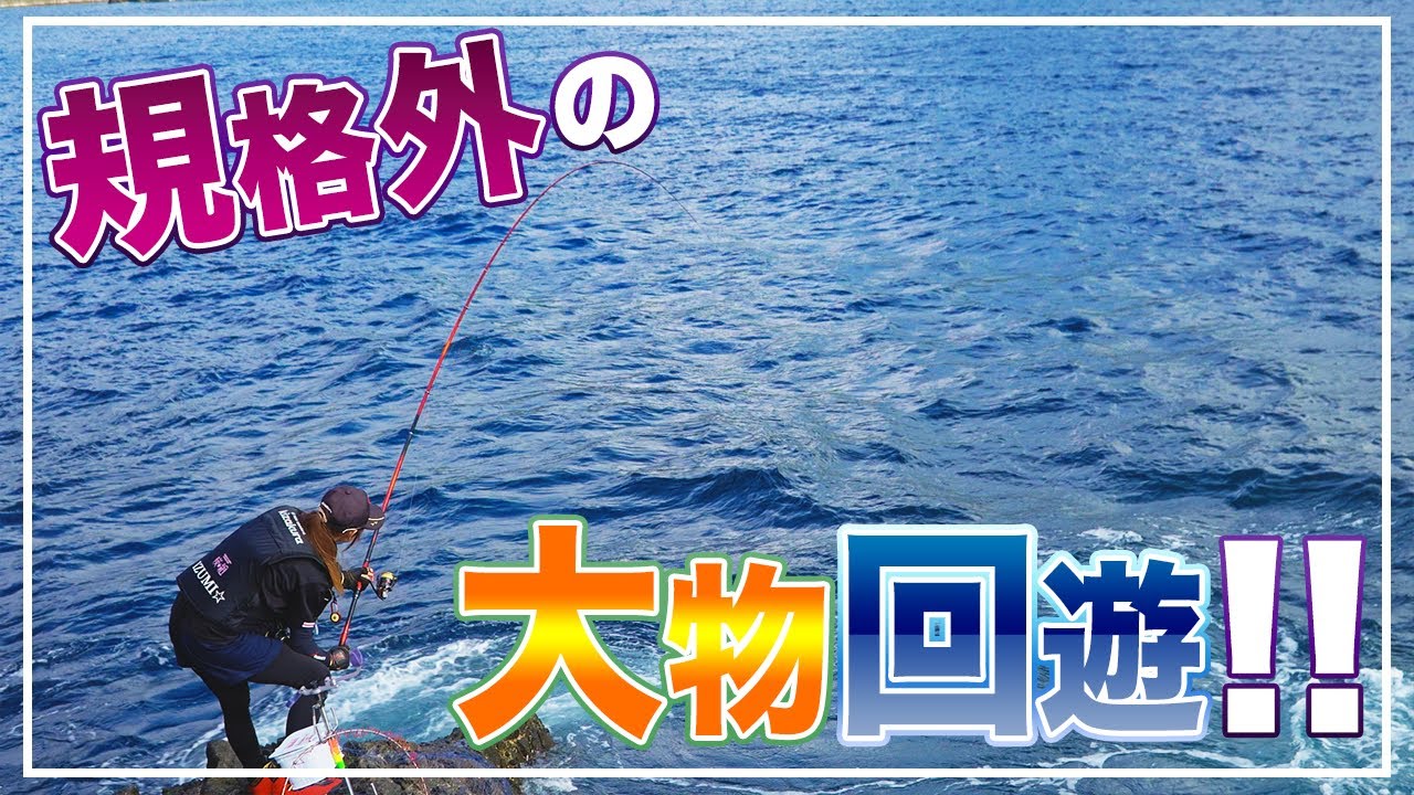 夏磯で出会った魚達