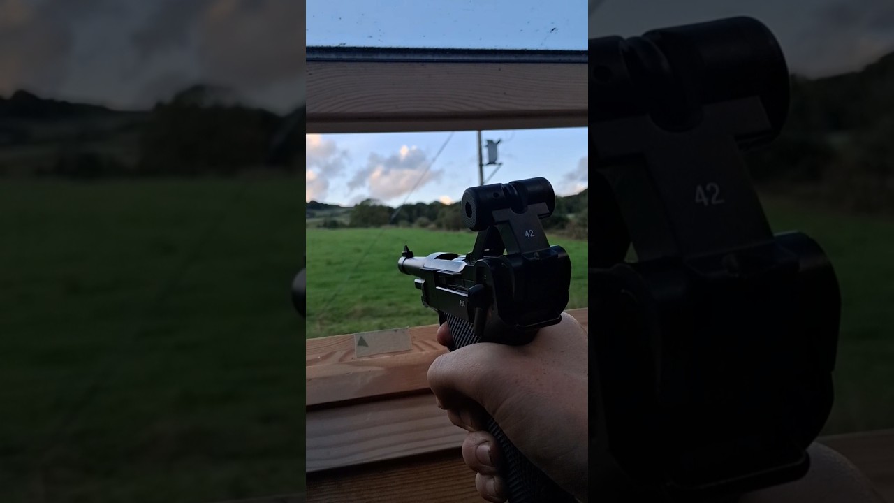 Shooting my new Umarex P08 Luger 