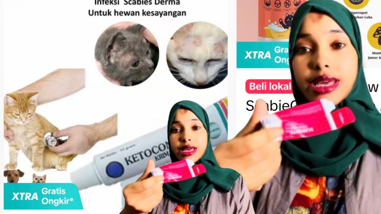 CUDURKII ILMAHA IIGA DHACAY IYO XALADA CAAFIMADKEENA