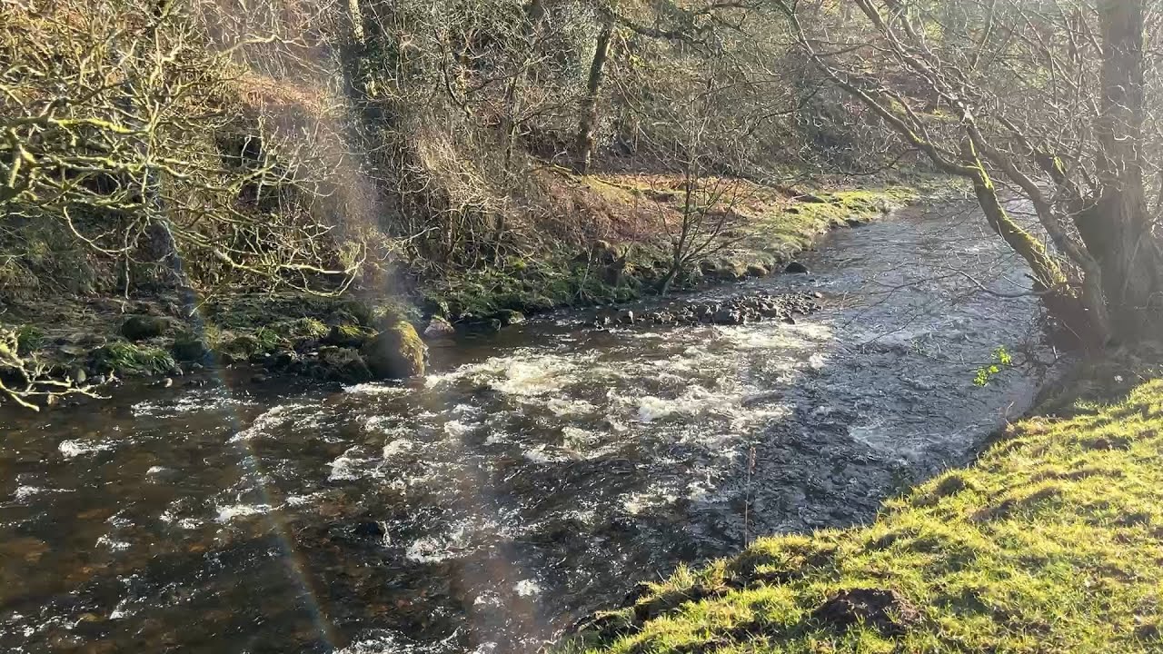 River Dane Walk - From Wincle to the Dane Feeder