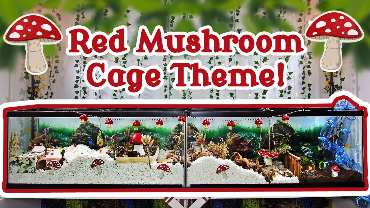 🍄 RED MUSHROOM Hamster Cage Theme! 🍄
