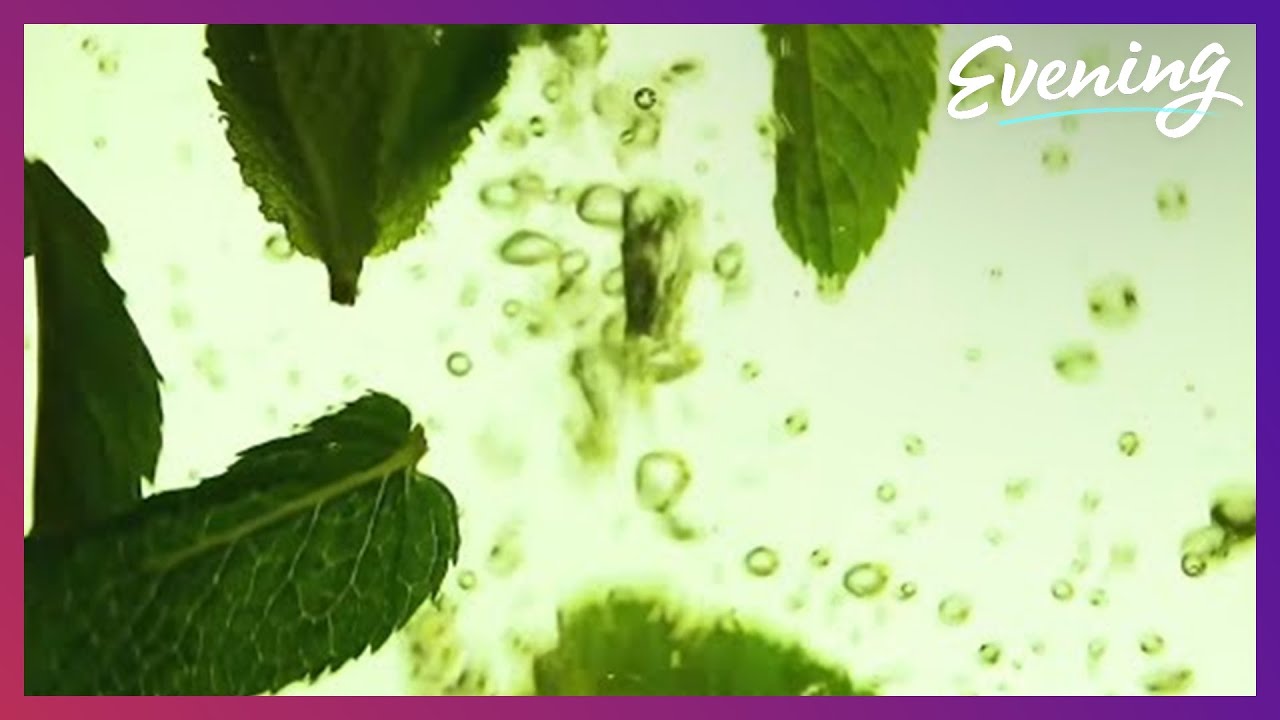 Mint condition: Washington state leads the nation in mint oil production