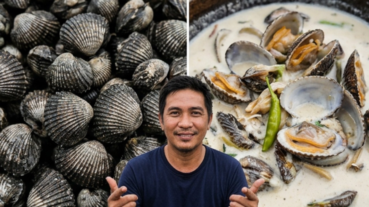 MASARAP SA SABAW AT GATA | Ep: 258 #dumagsa #seafood #shell 