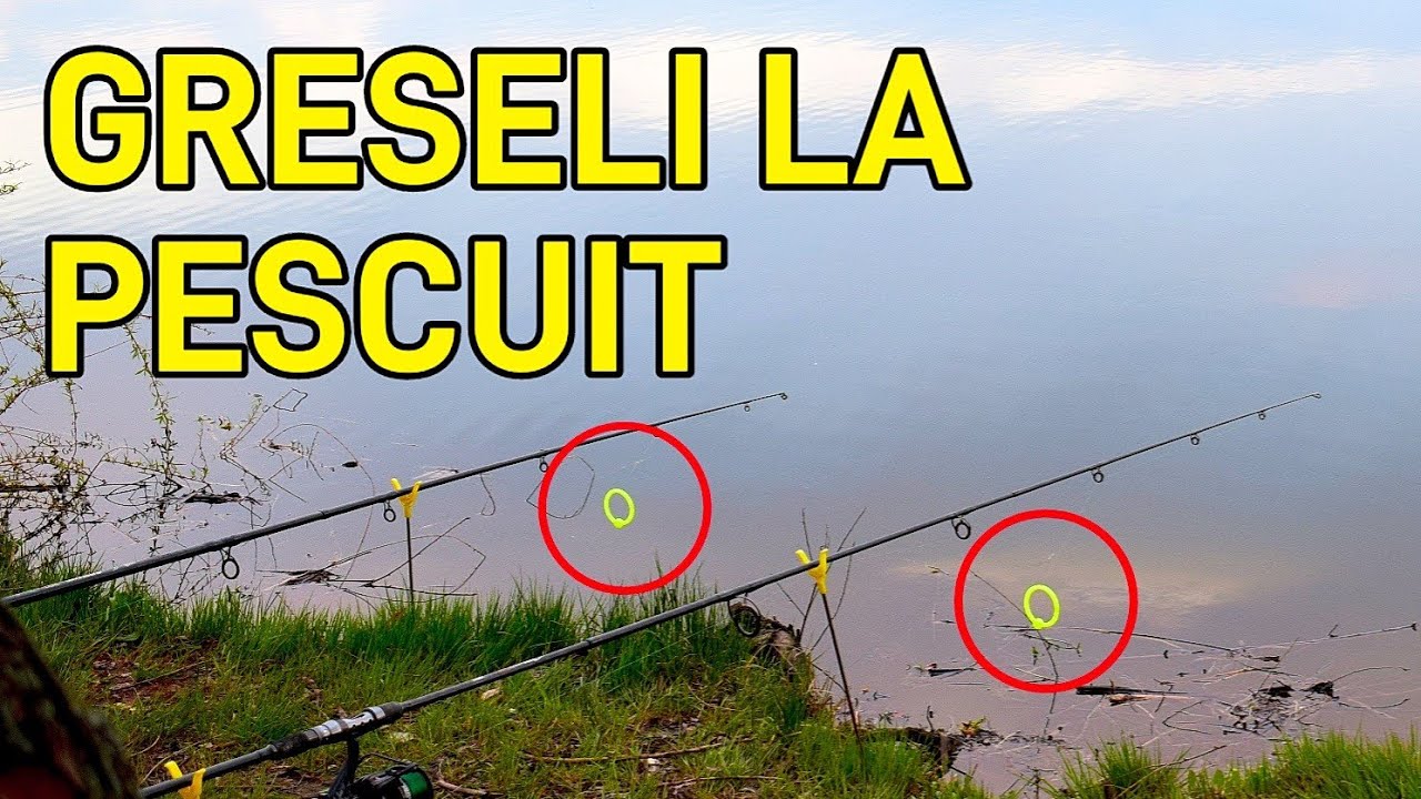 GRESELI MARI LA PESCUIT PE CARE LE FAC INCEPATORII (Si tu le faci?)