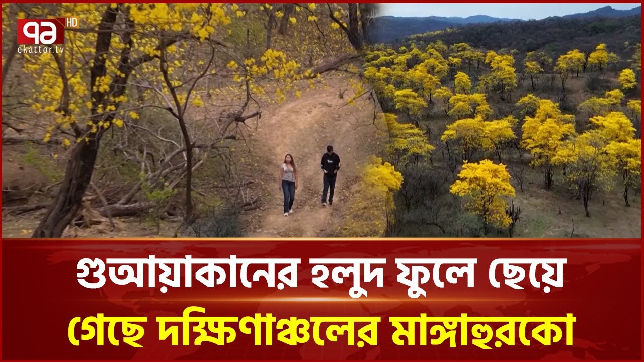 The natural beauty of Ecuador | Ecuador | Ekattor TV