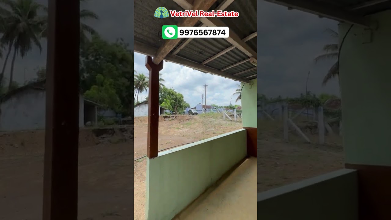 #206)2 acre coconut farm land for sale #kinathukadavu #coimbatore
