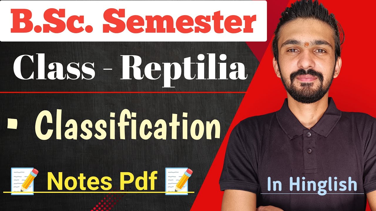 Classification Of Reptilia || Class - Reptilia || Bsc Semester || By Dadhich Sir