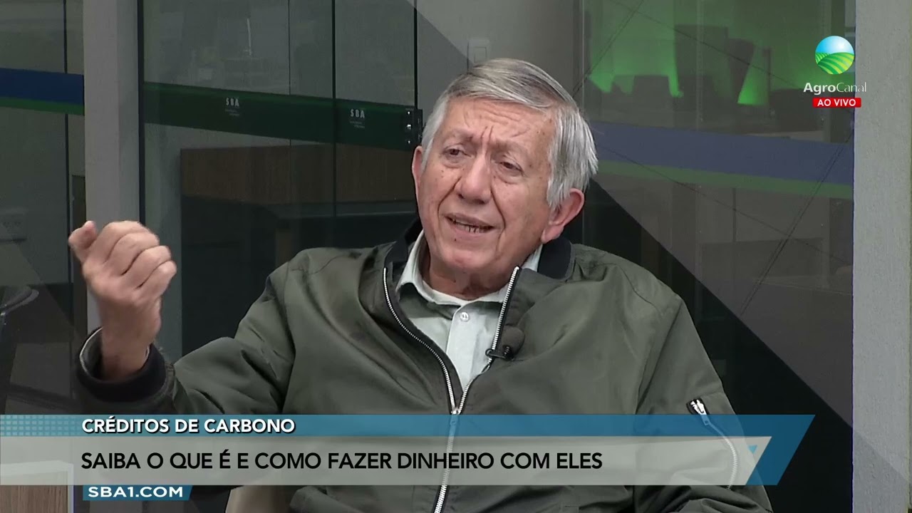 Créditos de carbono: Saiba o que é e como fazer dinheiro