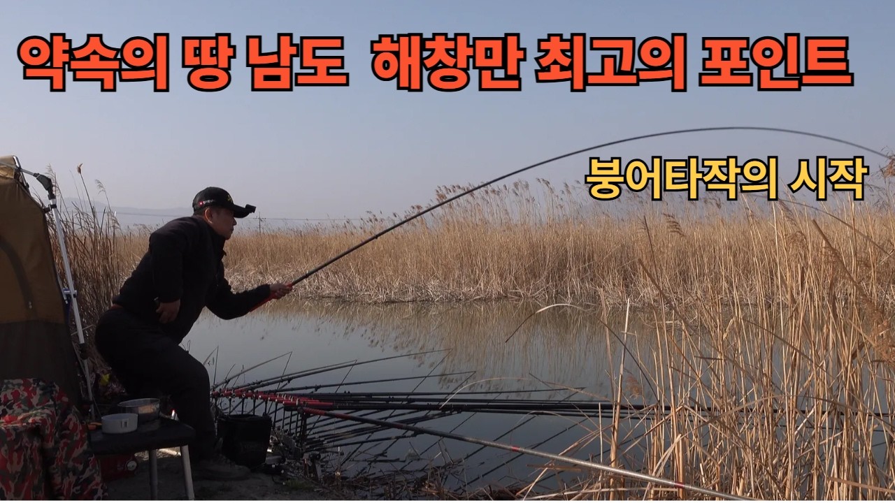약속의 땅 남도 해창만 최고의 포인트 월척붕어 사짜붕어포인트