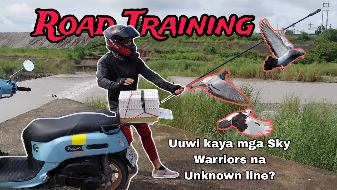 Binalikan ko yung Stencil na Rare Color sa Pet shop sabay Toss Training narin sa kalapate ko.