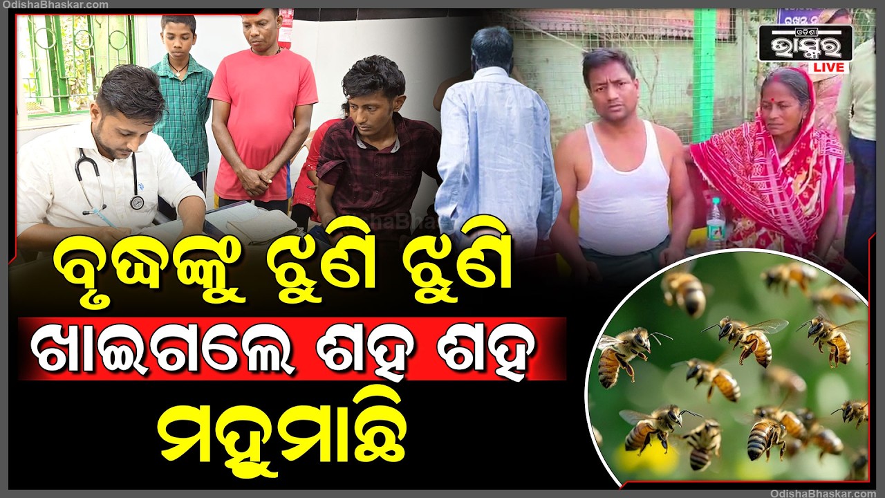 ନଳକୂପ ପାଖରେ ଗାଧୋଉଥିବା ବେଳେ ମହୁ ମାଛି ଆକ୍ରମଣରେ ଚାଲିଗଲା ବୃଦ୍ଧଙ୍କ ଜୀବନ, ବାଟୋଇ ଆହତ