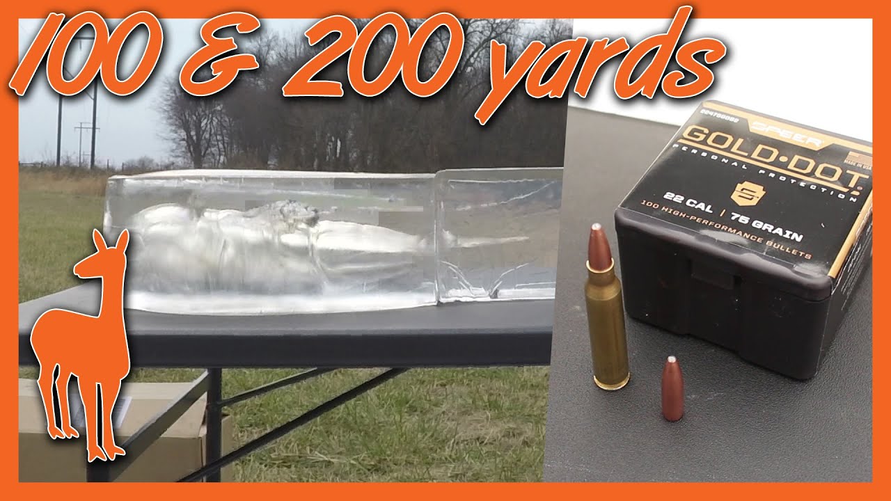 75-Grain Speer Gold Dot 223: A Solid Punch at Long Range