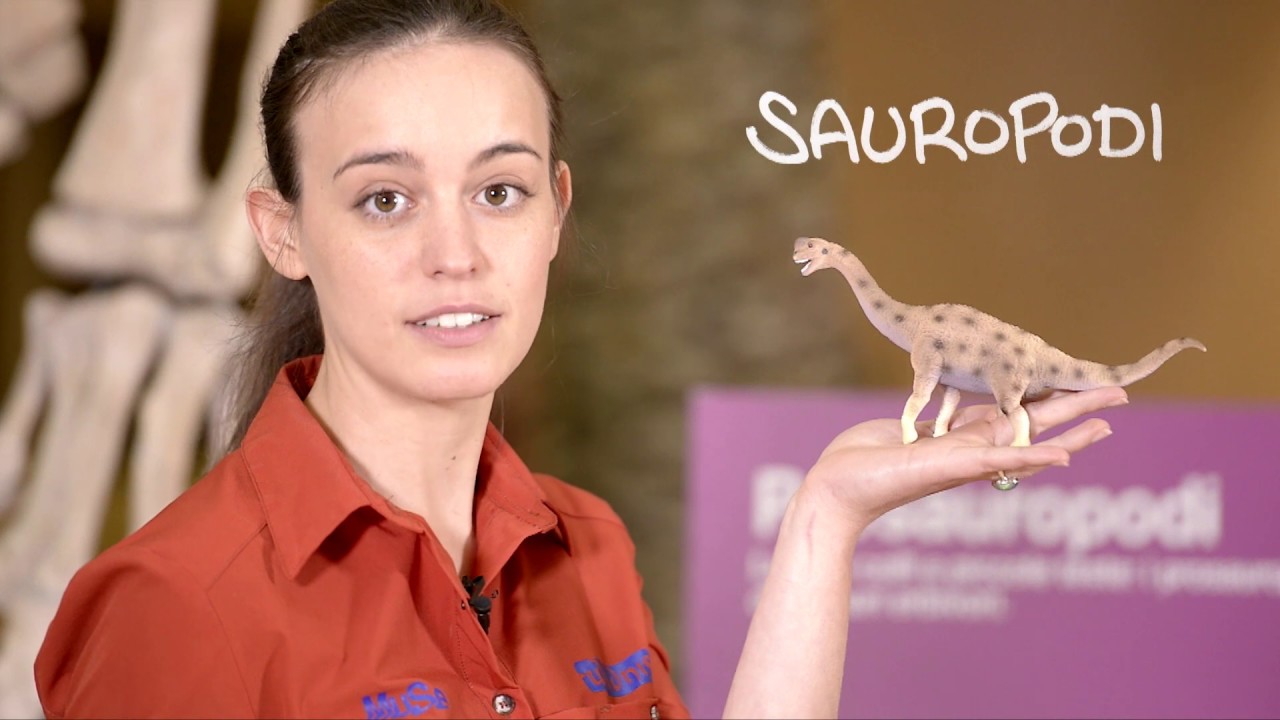 Prosauropodi, i primi dinosauri dal collo lungo