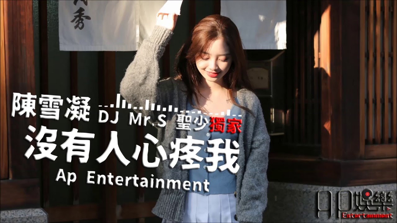 陳雪凝 - 沒有人心疼我 DJ Electronic Remix 動態字幕版