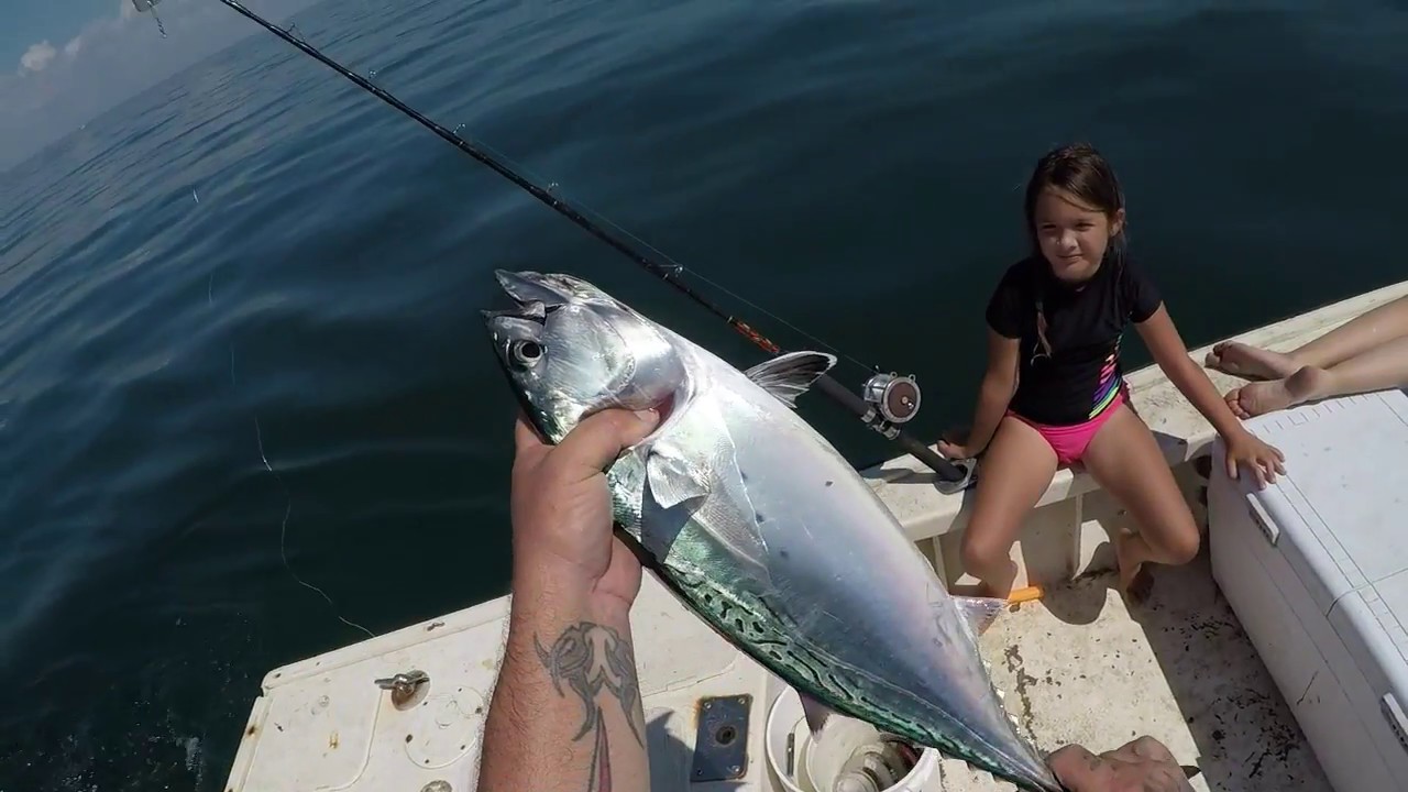 CAN YOU EAT A BONITO ...TRASH FISH OR TREASURE