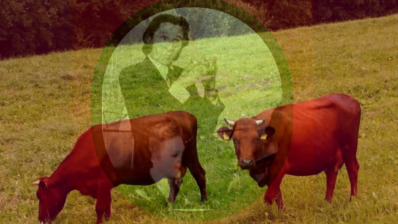 Edgars Liepiņš - Par lopkopību un lopiem senāk un tagad