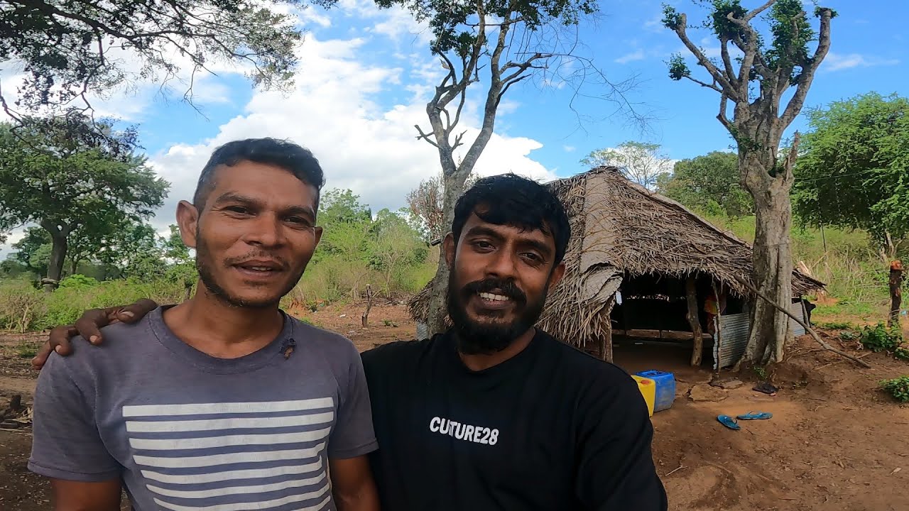 නුගේපොකුන හේන්යායට